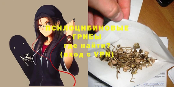 бошки Армянск