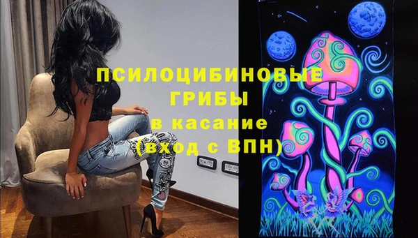 a pvp Майский